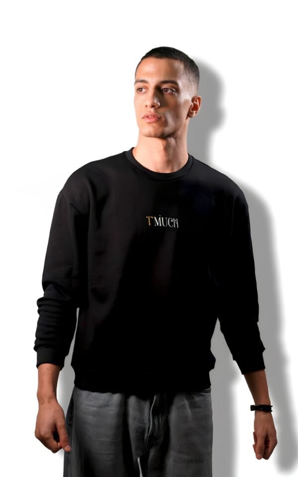 Black Sweatshirt With Logo On The Center of Chest